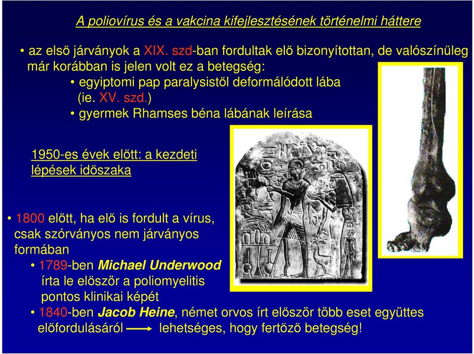 szd.) gyermek Rhamses béna lábának leírása 1950-es évek előtt: a kezdeti lépések időszaka 1800 előtt, ha elő is fordult a vírus, csak szórványos nem