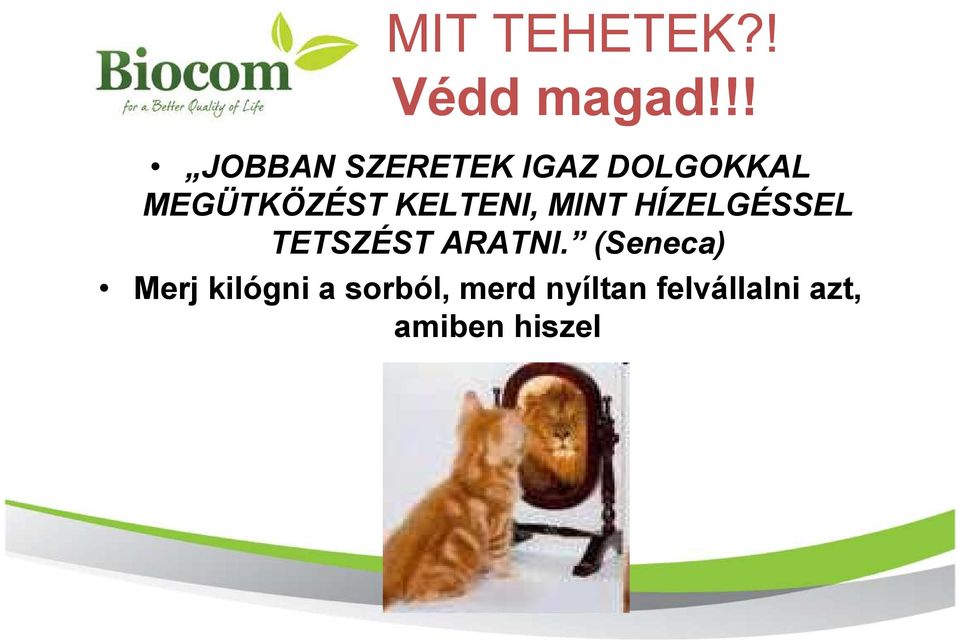 KELTENI, MINT HÍZELGÉSSEL TETSZÉST ARATNI.