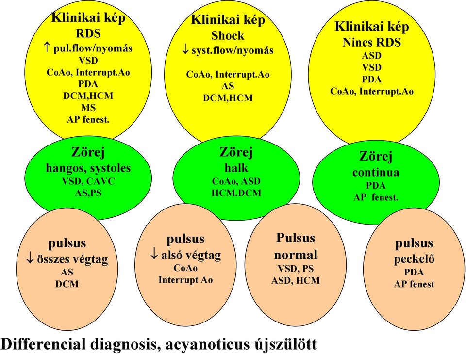 Ao AS DCM,HCM Zörej halk CoAo, ASD HCM.DCM Klinikai kép Nincs RDS ASD VSD PDA CoAo, Interrupt.