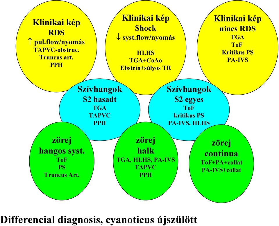 hasadt TGA TAPVC PPH Szívhangok S2 egyes ToF kritikus PS PA-IVS, HLHS zörej hangos syst. ToF PS Truncus Art.