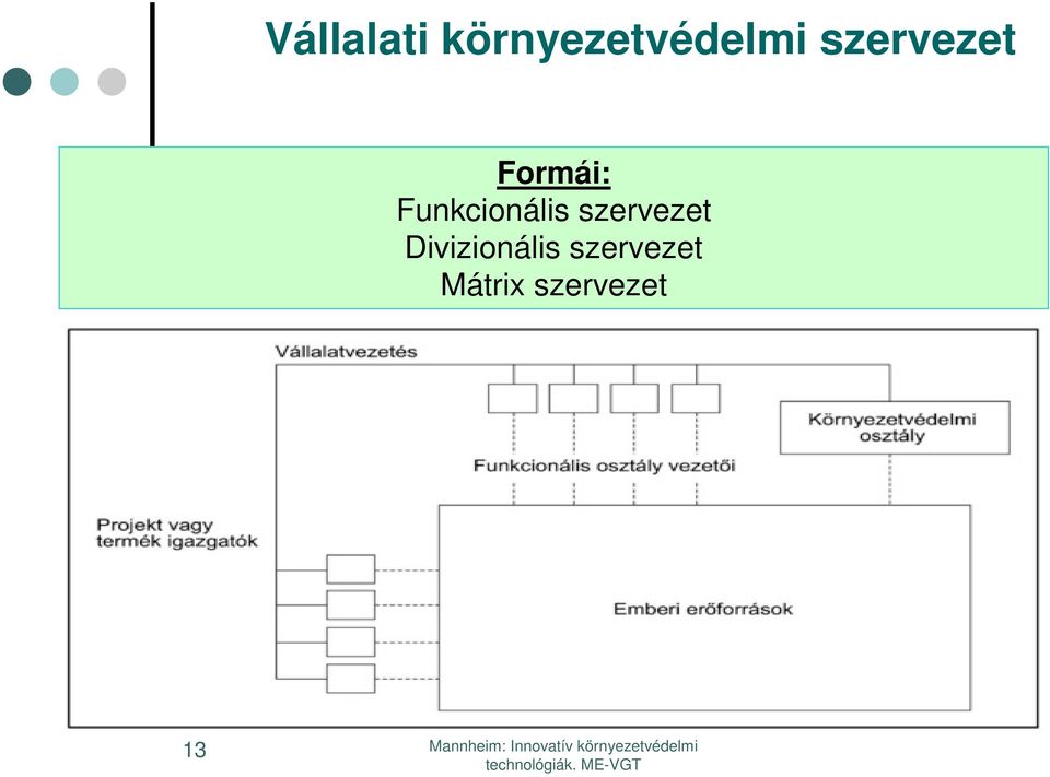 Funkcionális szervezet