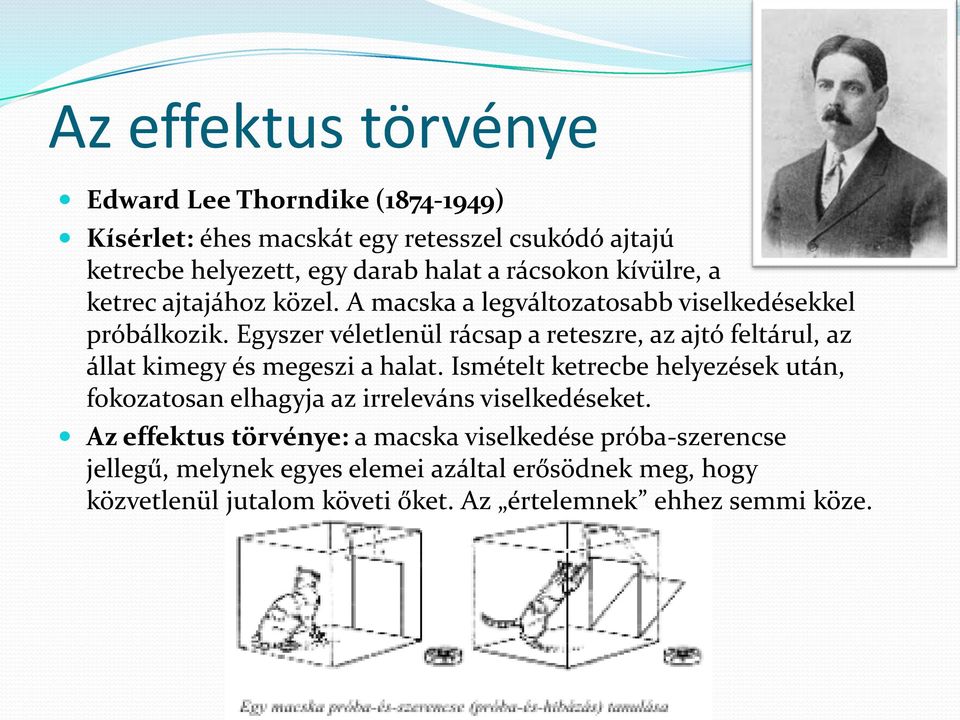 Egyszer véletlenül rácsap a reteszre, az ajtó feltárul, az állat kimegy és megeszi a halat.