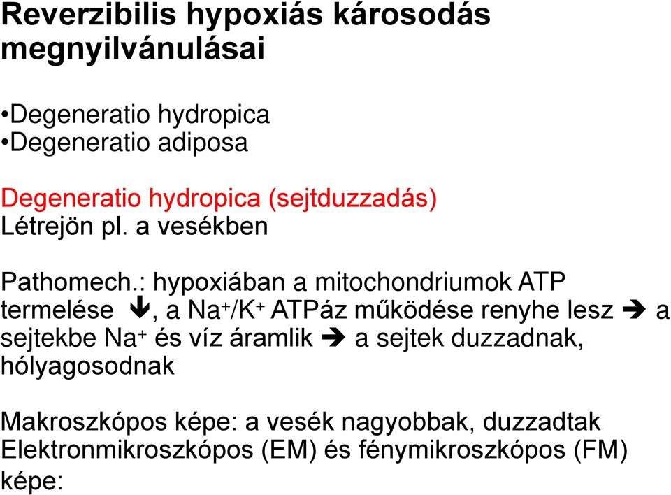 : hypoxiában a mitochondriumok ATP termelése, a Na + /K + ATPáz működése renyhe lesz a sejtekbe Na + és