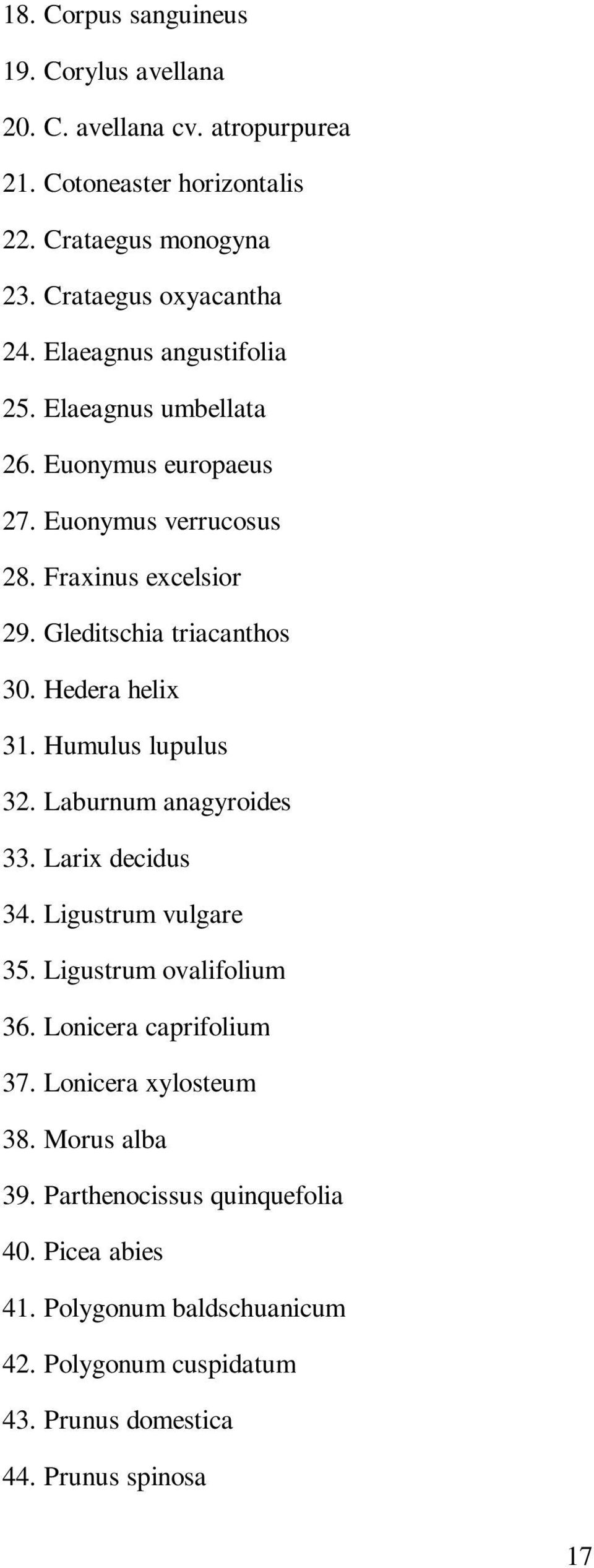 Hedera helix 31. Humulus lupulus 32. Laburnum anagyroides 33. Larix decidus 34. Ligustrum vulgare 35. Ligustrum ovalifolium 36. Lonicera caprifolium 37.