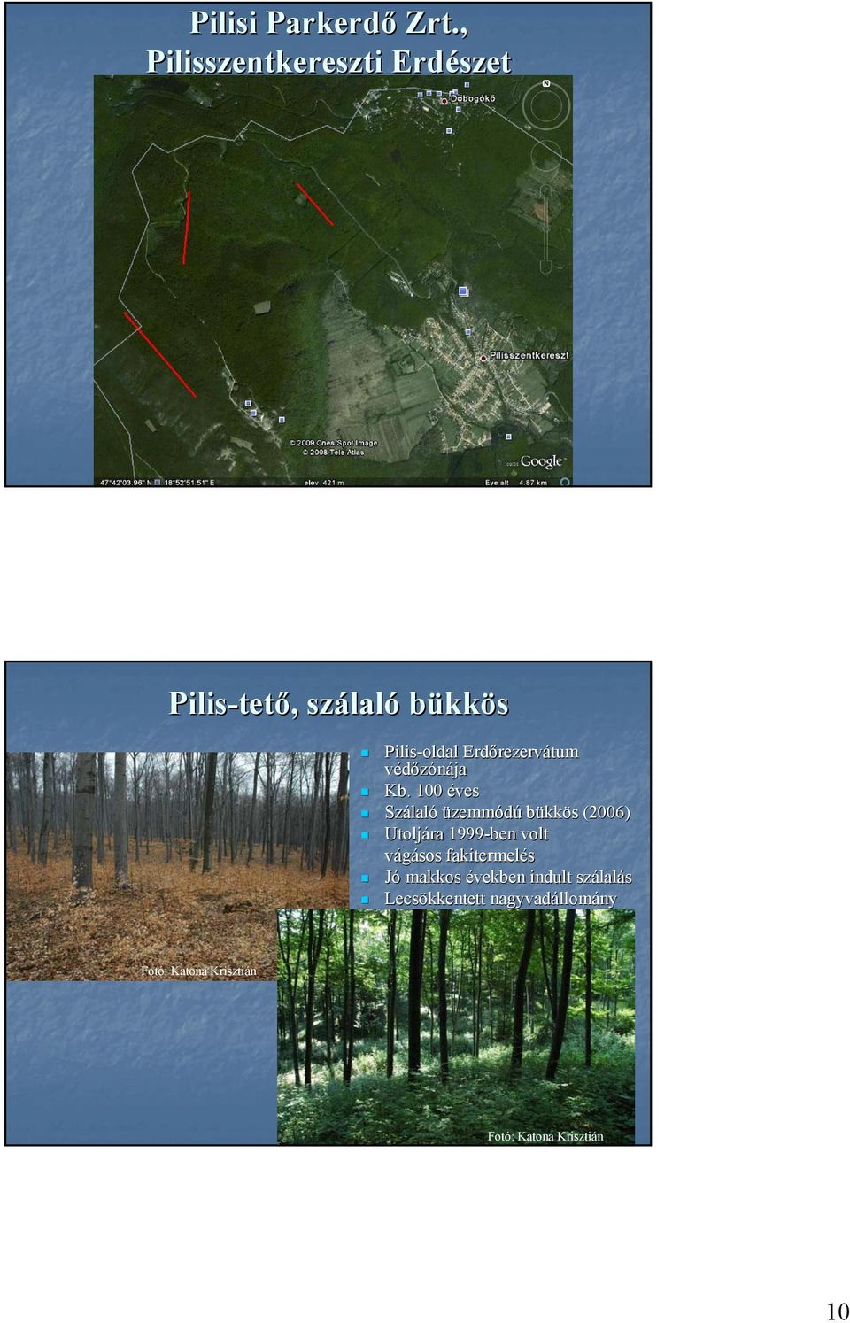Pilis-oldal Erdőrezerv rezervátum védőzónája Kb.