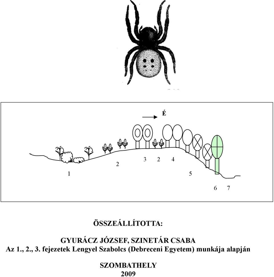 , 3. fejezetek Lengyel Szabolcs