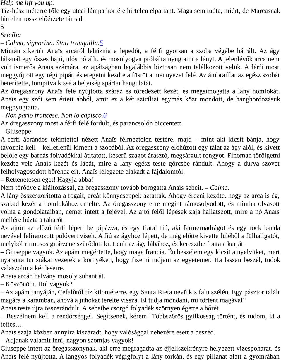 A jelenlévők arca nem volt ismerős Anaïs számára, az apátságban legalábbis biztosan nem találkozott velük. A férfi most meggyújtott egy régi pipát, és eregetni kezdte a füstöt a mennyezet felé.