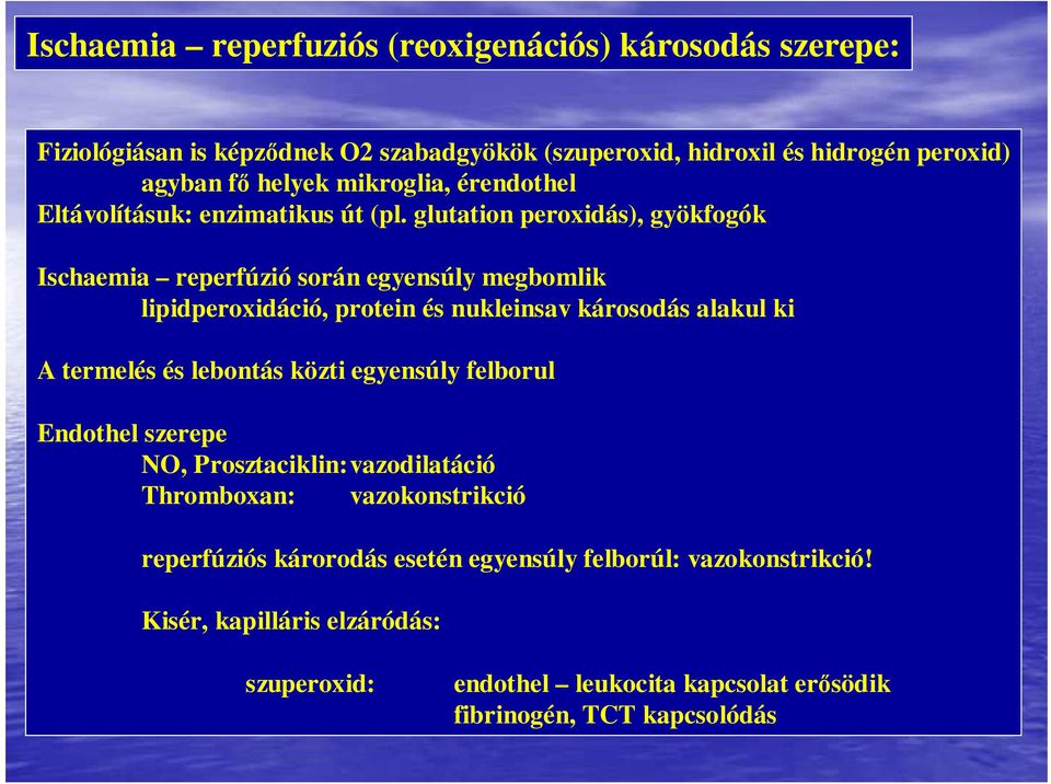 glutation peroxidás), gyökfogók Ischaemia reperfúzió során egyensúly megbomlik lipidperoxidáció, protein és nukleinsav károsodás alakul ki A termelés és lebontás