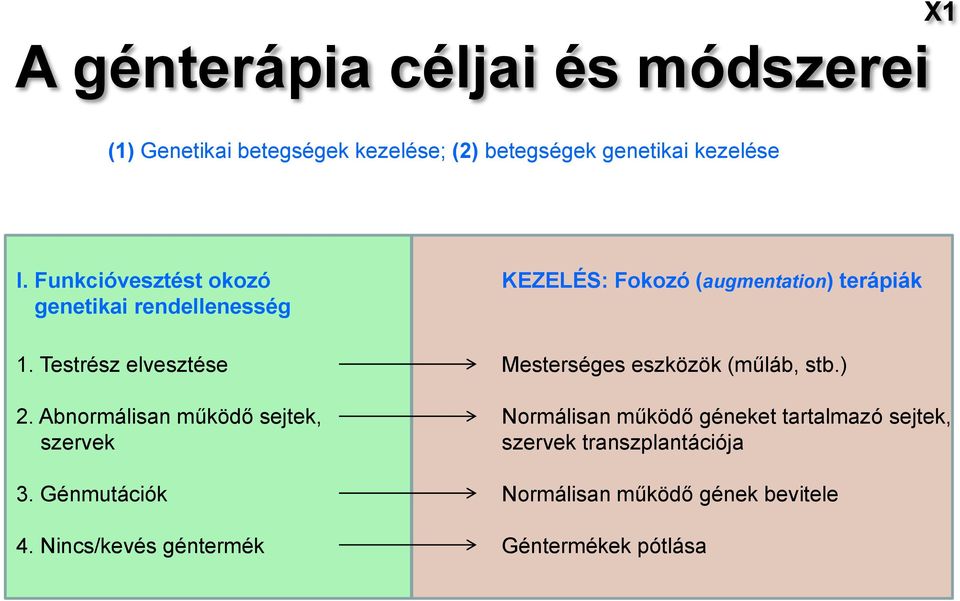 Testrész elvesztése Mesterséges eszközök (műláb, stb.) 2.