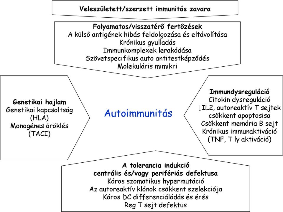 Immundysreguláció Citokin dysreguláció IL2, autoreaktív T sejtek csökkent apoptosisa Csökkent memória B sejt Krónikus immunaktiváció (TNF, T ly aktiváció) A