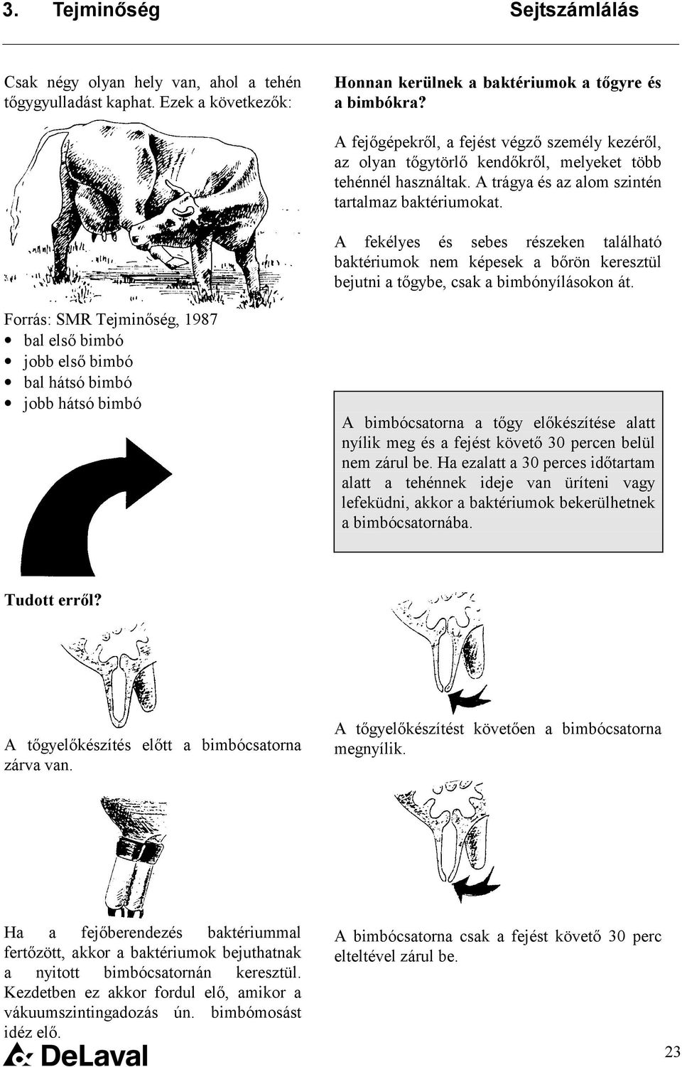 A fekélyes és sebes részeken található baktériumok nem képesek a bőrön keresztül bejutni a tőgybe, csak a bimbónyílásokon át.