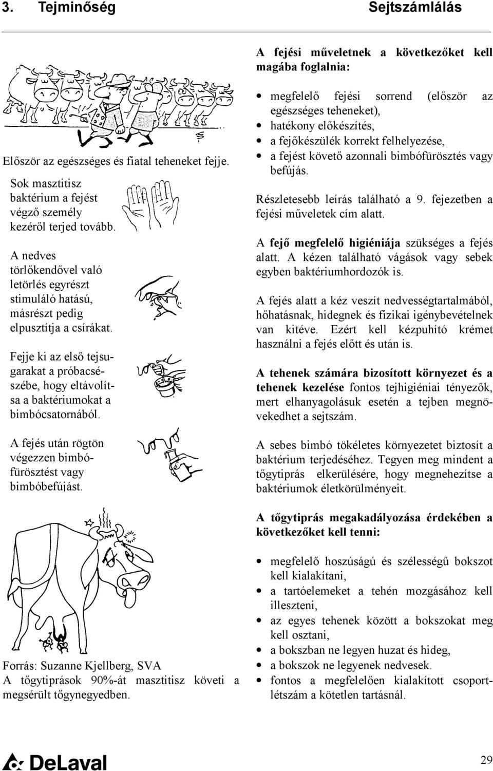 Fejje ki az első tejsugarakat a próbacsészébe, hogy eltávolítsa a baktériumokat a bimbócsatornából. A fejés után rögtön végezzen bimbófürösztést vagy bimbóbefújást.