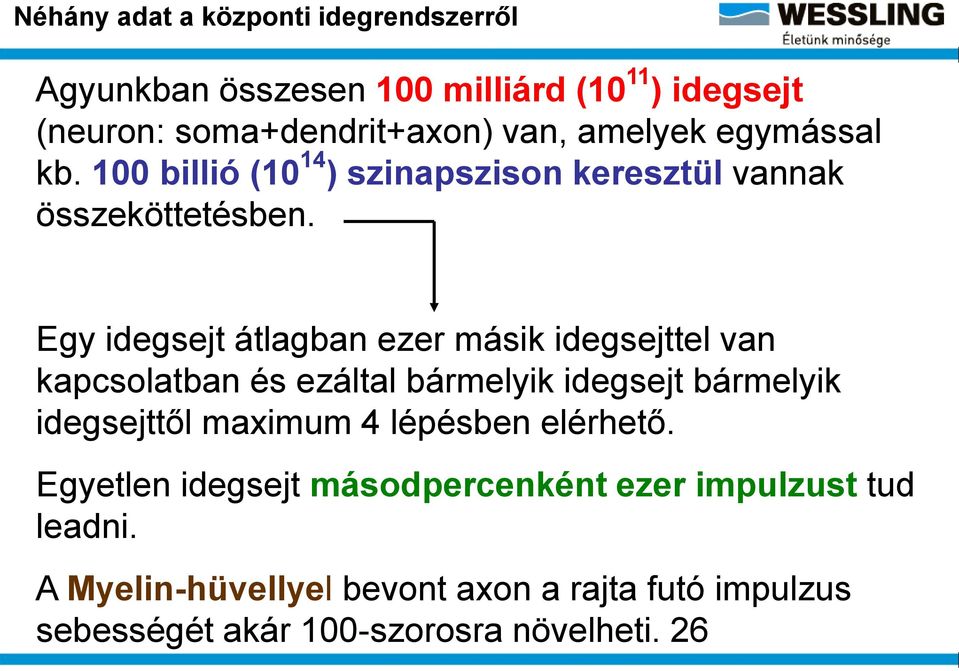 Egy idegsejt átlagban ezer másik idegsejttel van kapcsolatban és ezáltal bármelyik idegsejt bármelyik idegsejttől maximum 4