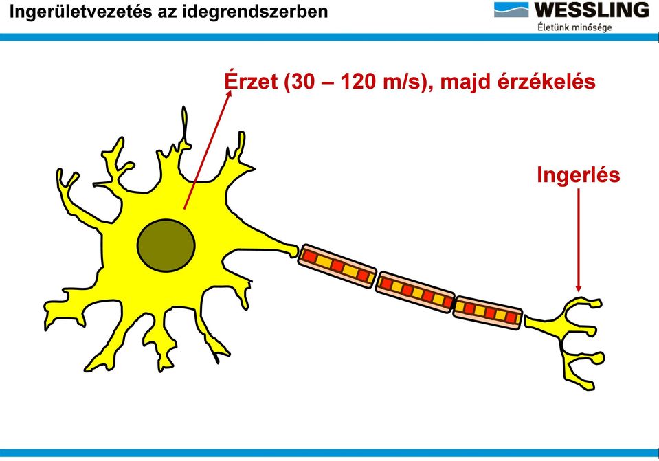 Érzet (30 120 m/s),