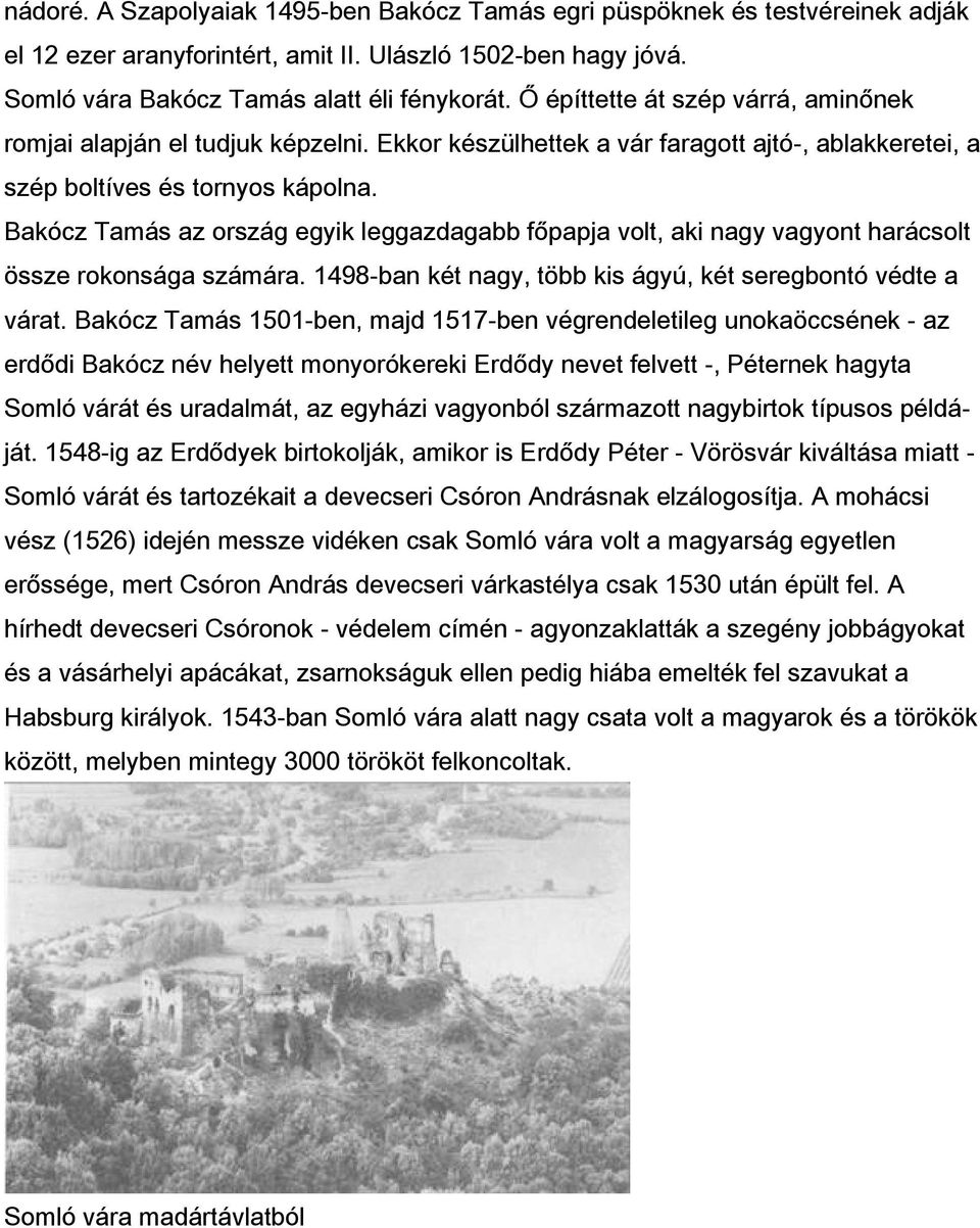 Bakócz Tamás az ország egyik leggazdagabb főpapja volt, aki nagy vagyont harácsolt össze rokonsága számára. 1498-ban két nagy, több kis ágyú, két seregbontó védte a várat.