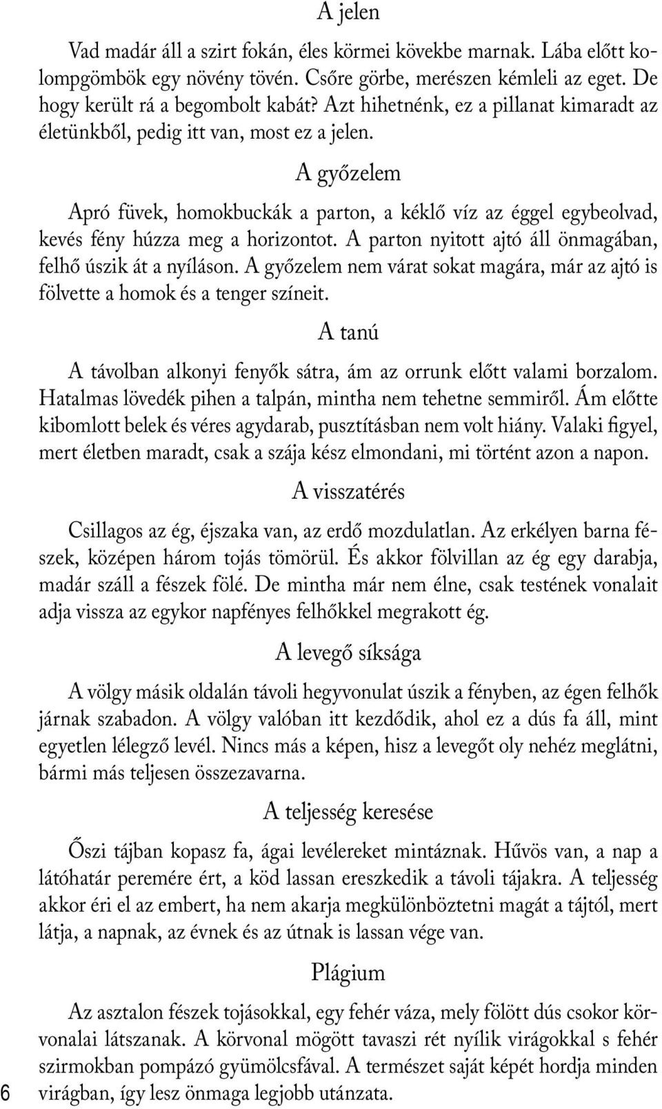 A parton nyitott ajtó áll önmagában, felhő úszik át a nyíláson. A győzelem nem várat sokat magára, már az ajtó is fölvette a homok és a tenger színeit.