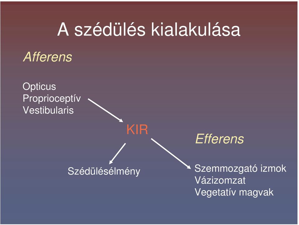 KIR Efferens Szédülésélmény