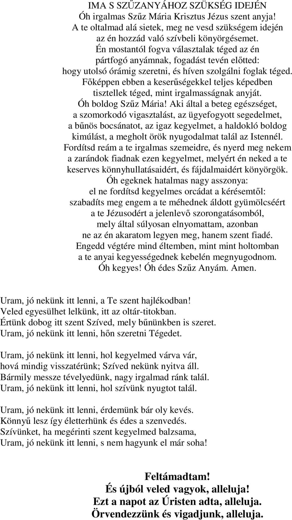 Főképpen ebben a keserűségekkel teljes képedben tisztellek téged, mint irgalmasságnak anyját. Óh boldog Szűz Mária!