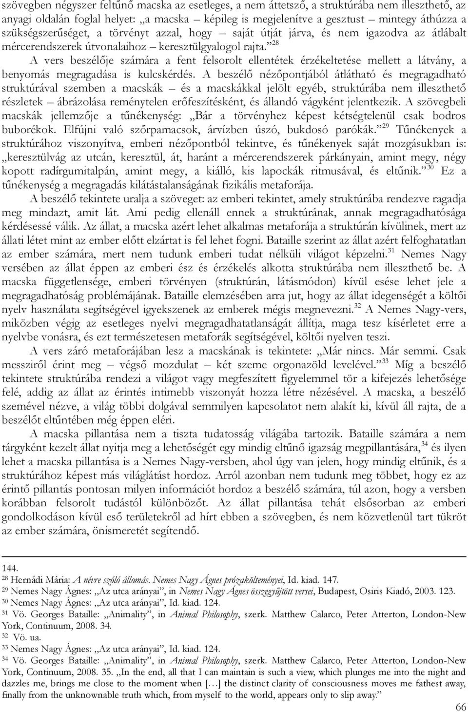 28 A vers beszélője számára a fent felsorolt ellentétek érzékeltetése mellett a látvány, a benyomás megragadása is kulcskérdés.