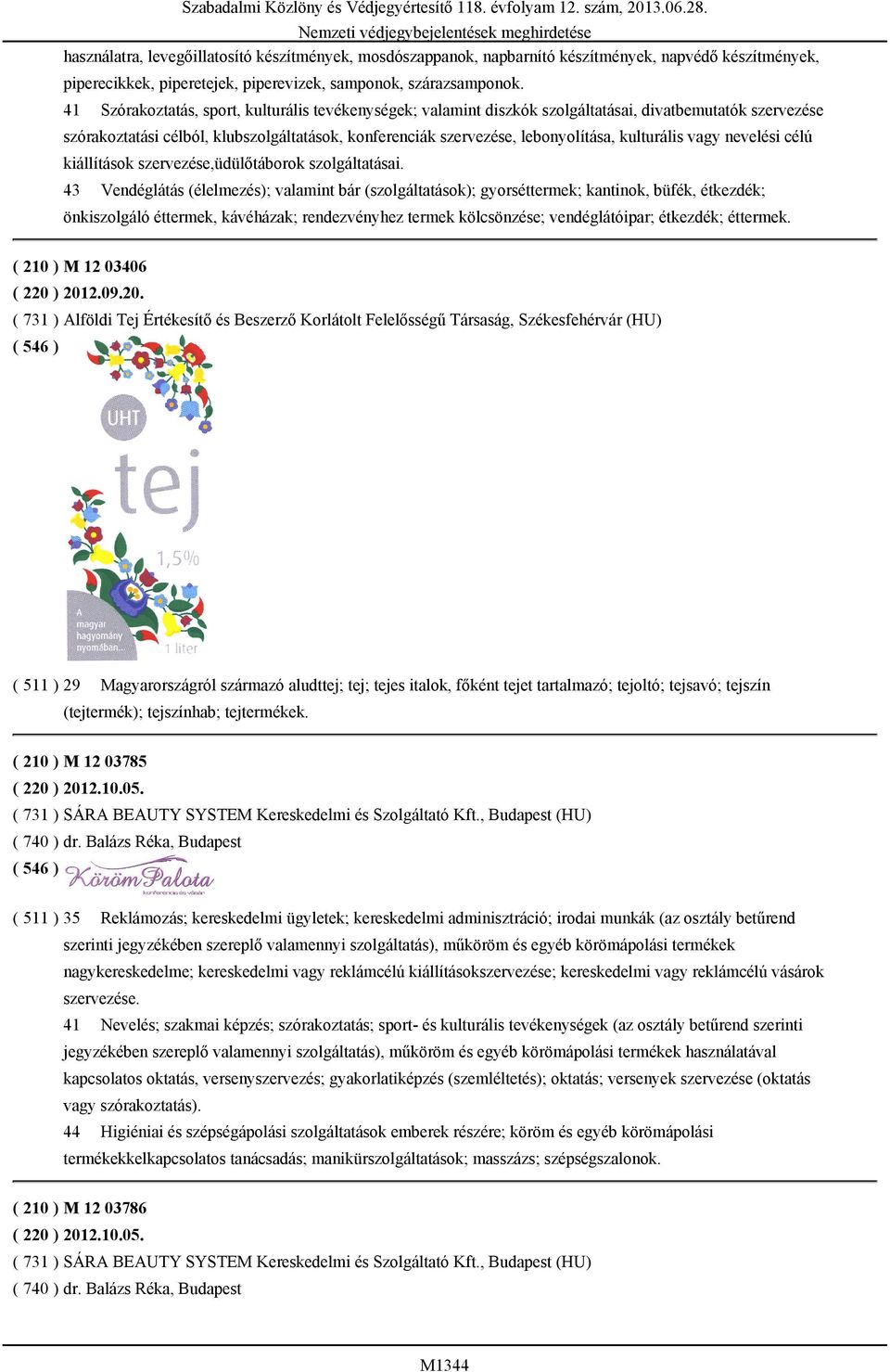 kulturális vagy nevelési célú kiállítások szervezése,üdülőtáborok szolgáltatásai.