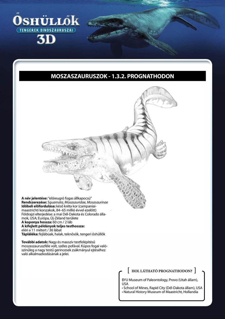 ezelőtt) Földrajzi elterjedése: a mai Dél-Dakota és Colorado államok, USA; Európa, Új-Zéland területe A koponya hossza: 60 cm / 2 láb A kifejlett példányok teljes testhossza: eléri a 11 métert / 36