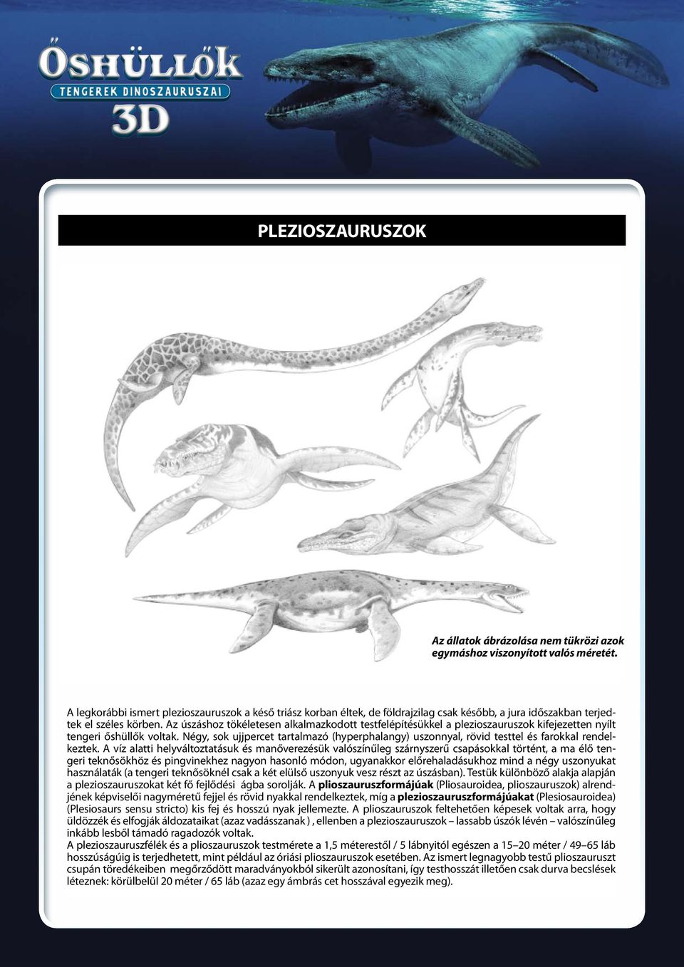 Az úszáshoz tökéletesen alkalmazkodott testfelépítésükkel a plezioszauruszok kifejezetten nyílt tengeri őshüllők voltak.
