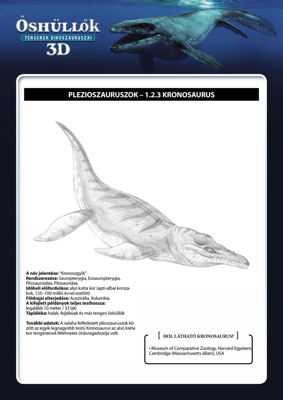 testhossza: legalább 10 méter / 33 láb Tápláléka: halak, fejlábúak és más tengeri őshüllők További adatok: A valaha felfedezett plioszauruszok között az egyik