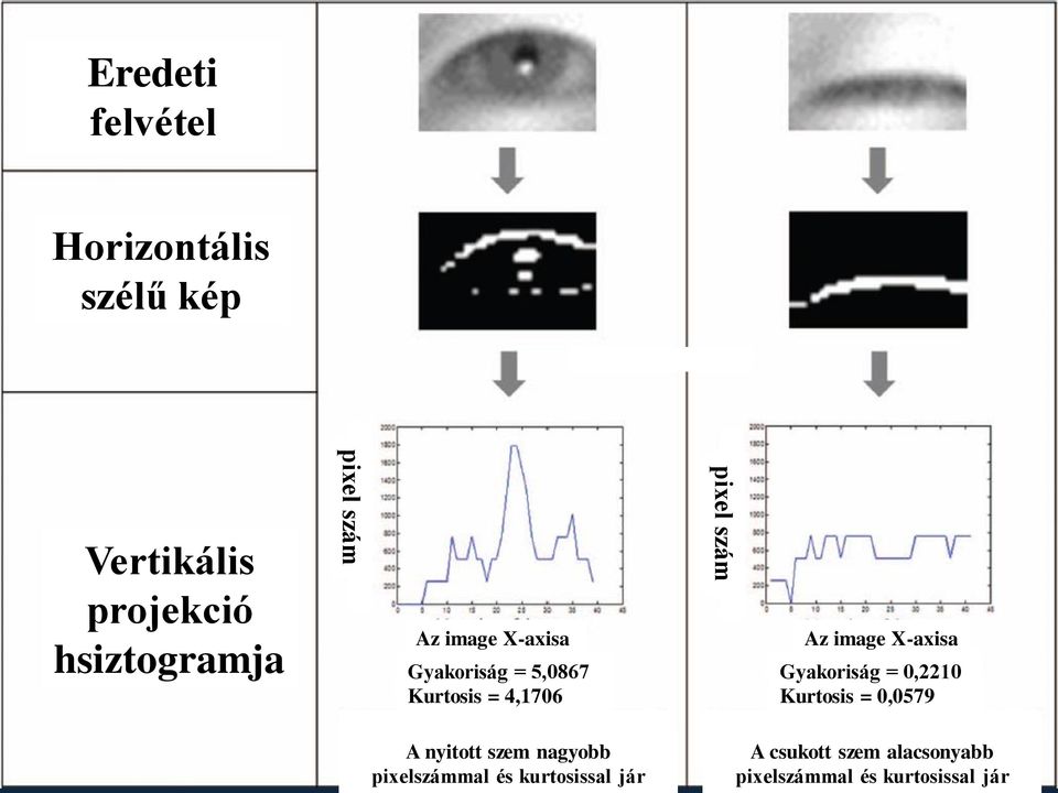 X-axisa Gyakoriság = 0,2210 Kurtosis = 0,0579 A nyitott szem nagyobb