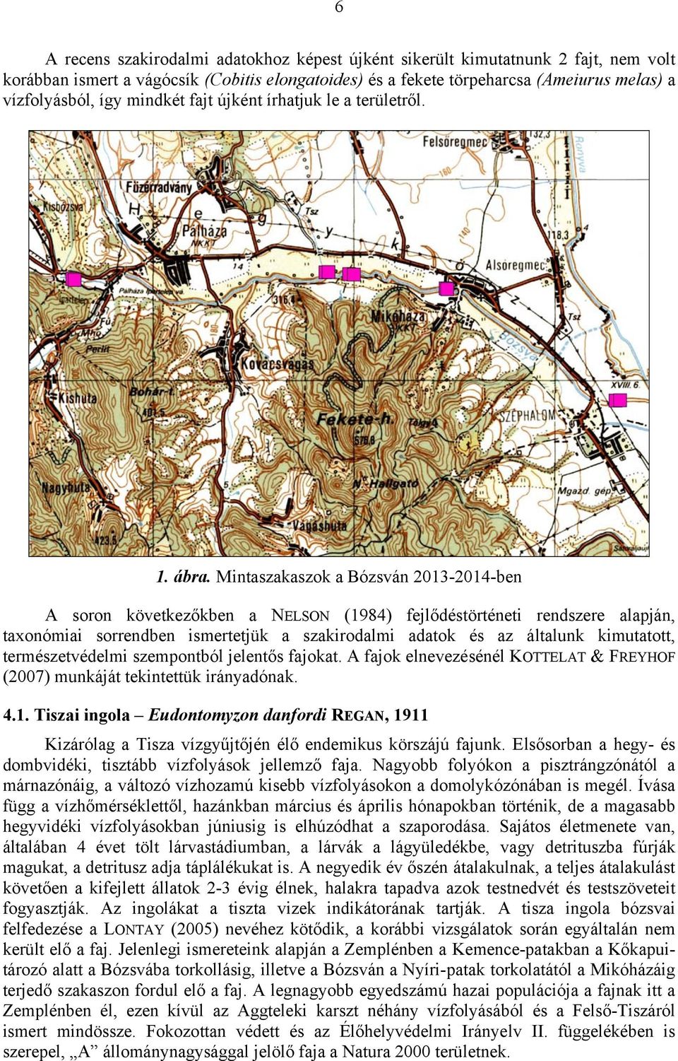 Mintaszakaszok a Bózsván 2013-2014-ben A soron következőkben a NELSON (1984) fejlődéstörténeti rendszere alapján, taxonómiai sorrendben ismertetjük a szakirodalmi adatok és az általunk kimutatott,