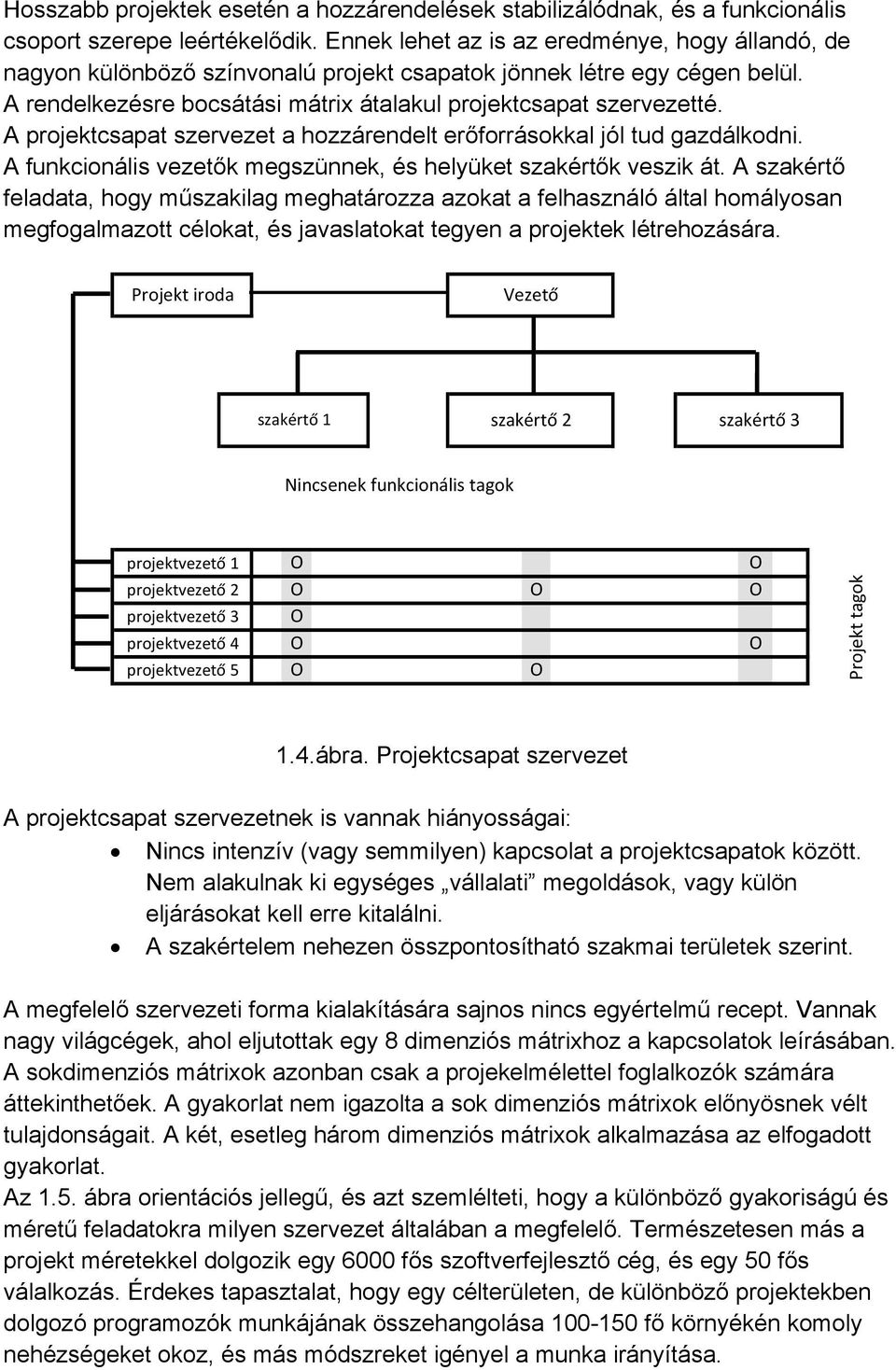 A projektcsapat szervezet a hozzárendelt erőforrásokkal jól tud gazdálkodni. A funkcionális vezetők megszünnek, és helyüket szakértők veszik át.