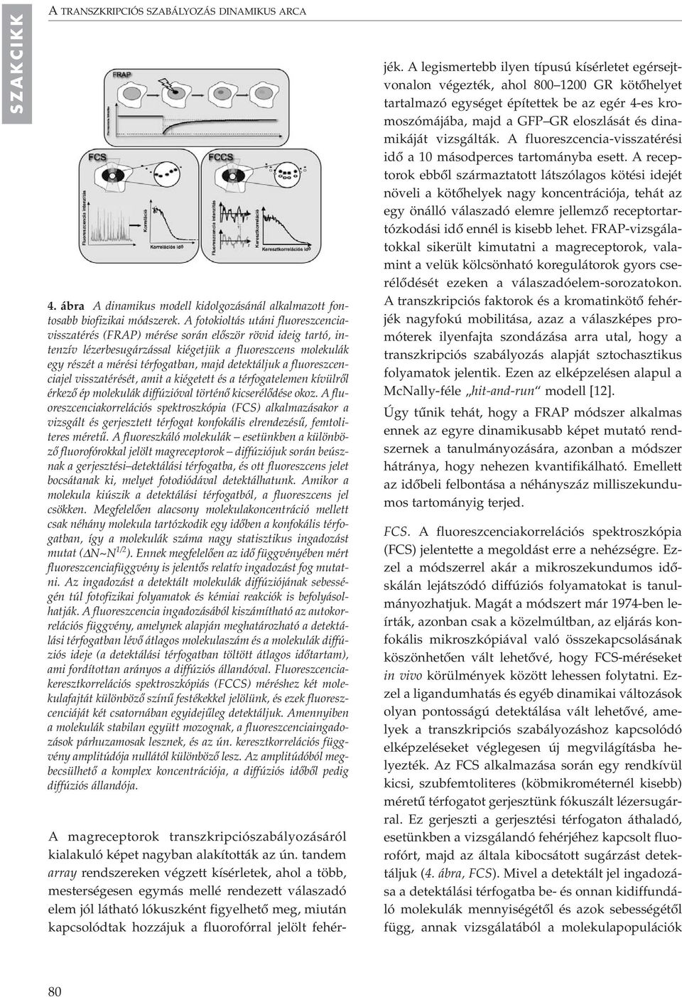 detektáljuk a fluoreszcenciajel visszatérését, amit a kiégetett és a térfogatelemen kívülrôl érkezô ép molekulák diffúzióval történô kicserélôdése okoz.