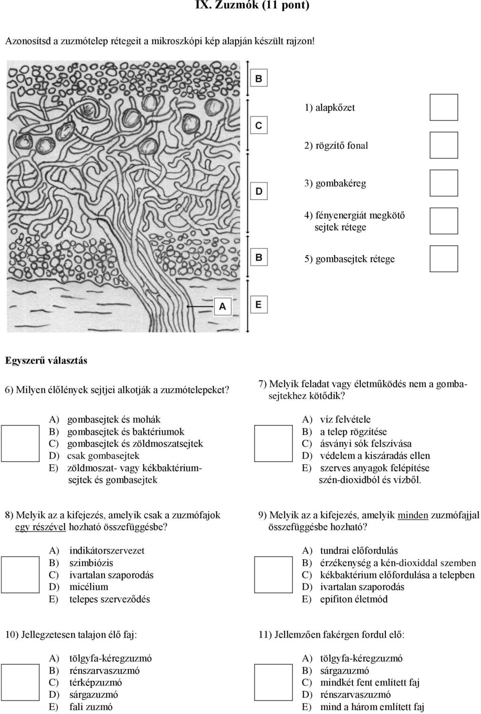 7) Melyik feladat vagy életműködés nem a gombasejtekhez kötődik?