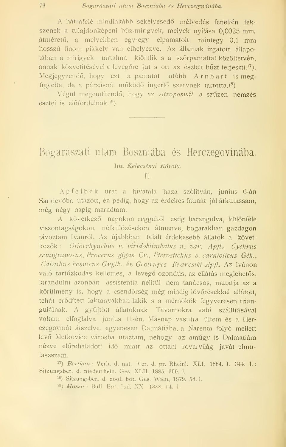 átméret, a melyekben egy-egy elpamatolt mintegy 0,1 mm hosszú finom pikkely van elhelyezve.