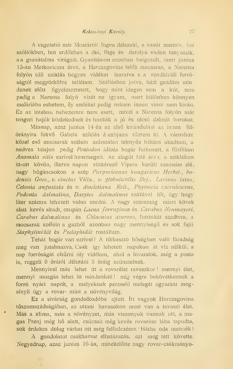 Szálláshoz jutva, házi gazdám mindenek eltt figyelmeztetett, hogy mint idegen sem a kút, sem pedig a Narenta folyó vizét ne igyam, mert különben könnyen maláriába eshetem, ily emléket pedig nekem