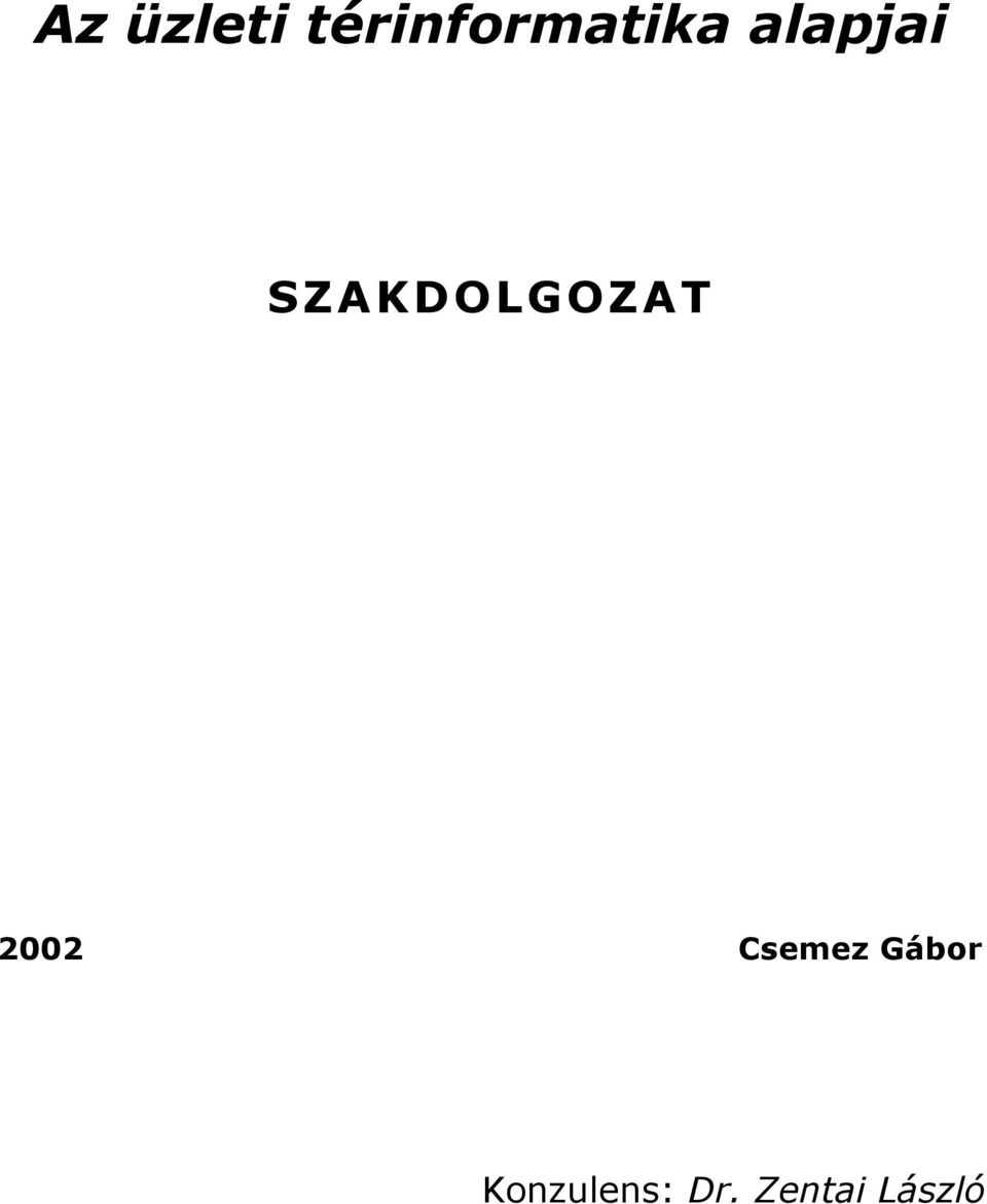 SZAKDOLGOZAT 2002