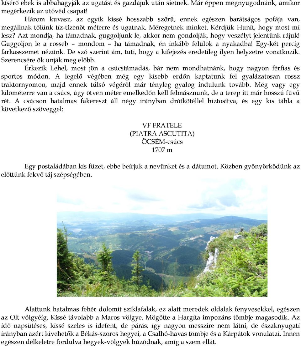 Azt mondja, ha támadnak, guggoljunk le, akkor nem gondolják, hogy veszélyt jelentünk rájuk! Guggoljon le a rosseb mondom ha támadnak, én inkább felülök a nyakadba! Egy-két percig farkasszemet nézünk.