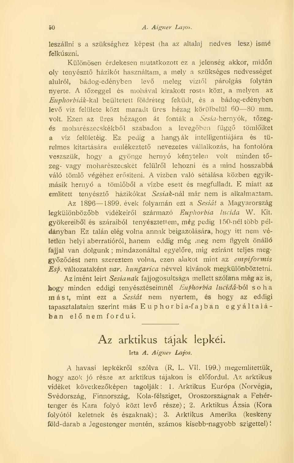 A tzeggel és mohával kirakott rosta közt, a melyen az Euphorbiak-kaS. beültetett földréteg feküdt, és a bádog-edényben lev víz felülete közt maradt üres hézag körülbelül 60 80 mm. volt.