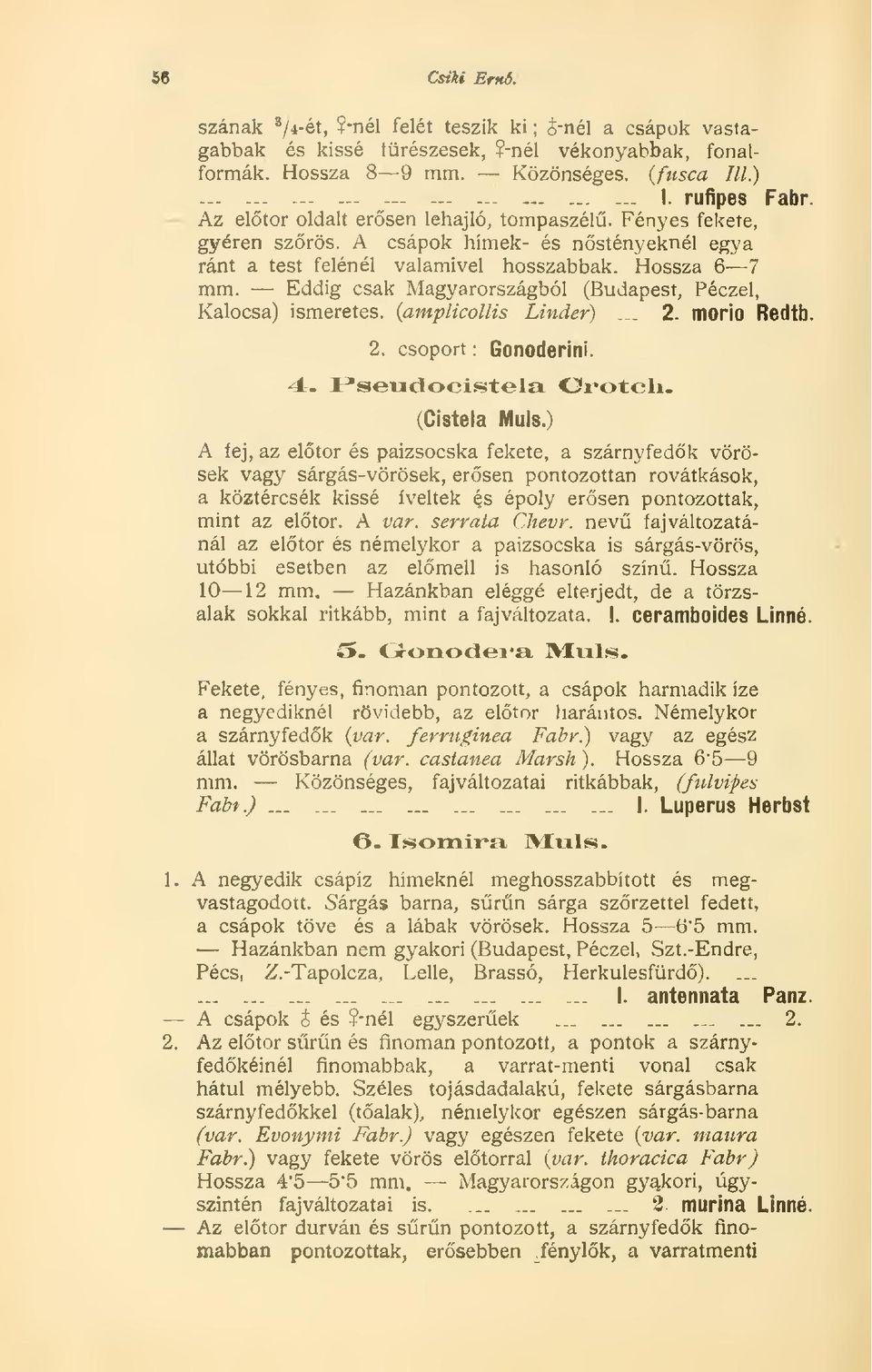 Eddig csak Magyarországból (Budapest, Péczel, Kalocsa) ismeretes, (amplicollis Linder)... 2. morio Redtb. 2. csoport : Gonoderini. 4. Pseudocistela Orotcli. ícistela Muls.