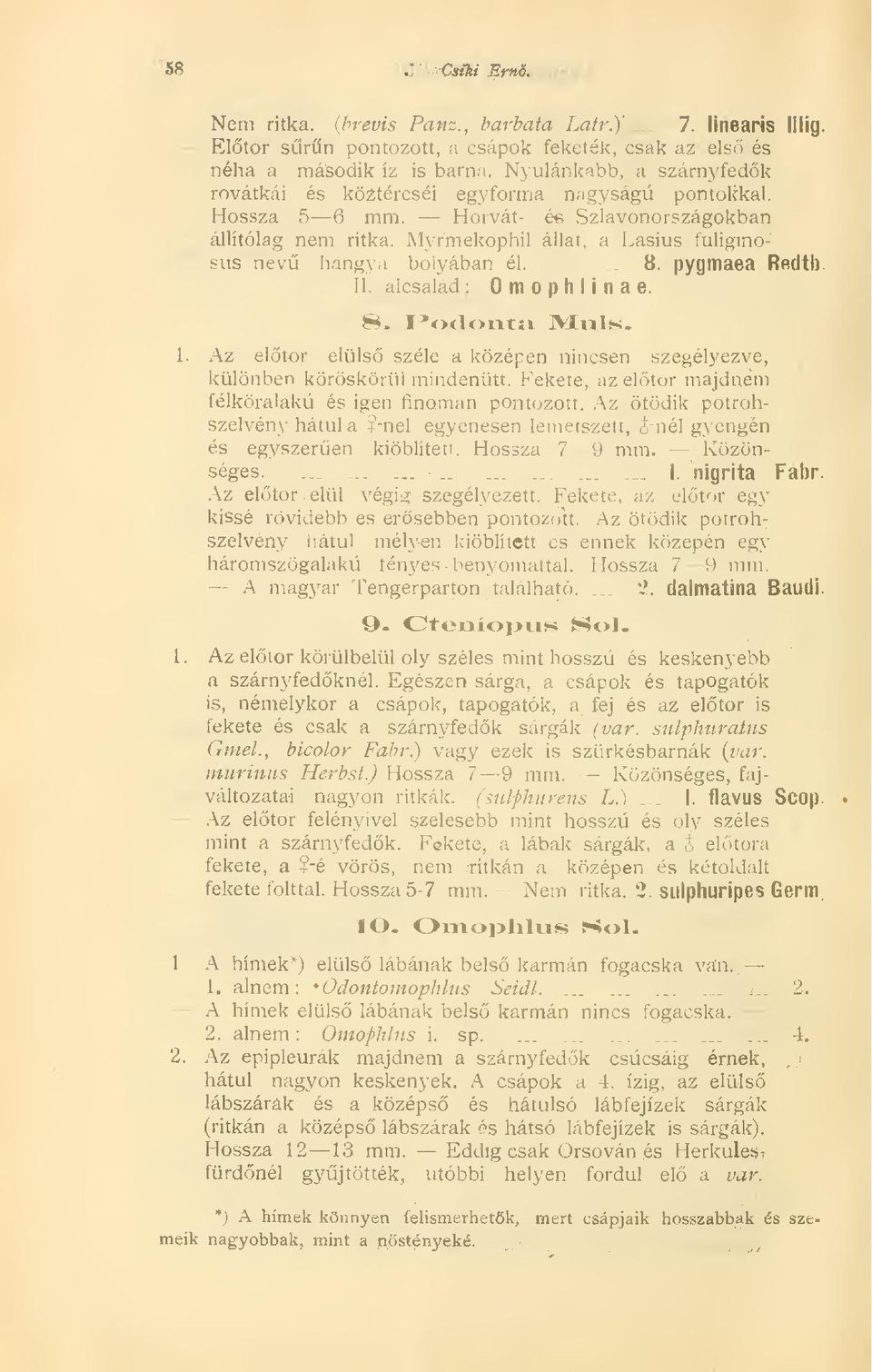 Myrmekophil állat, a Lasius fuliginosüs nev hangya bolyában él....... 8. pygmaea Redtb II. alcsalád : m p h I i n a e. 8. Podonta Muls. 1.