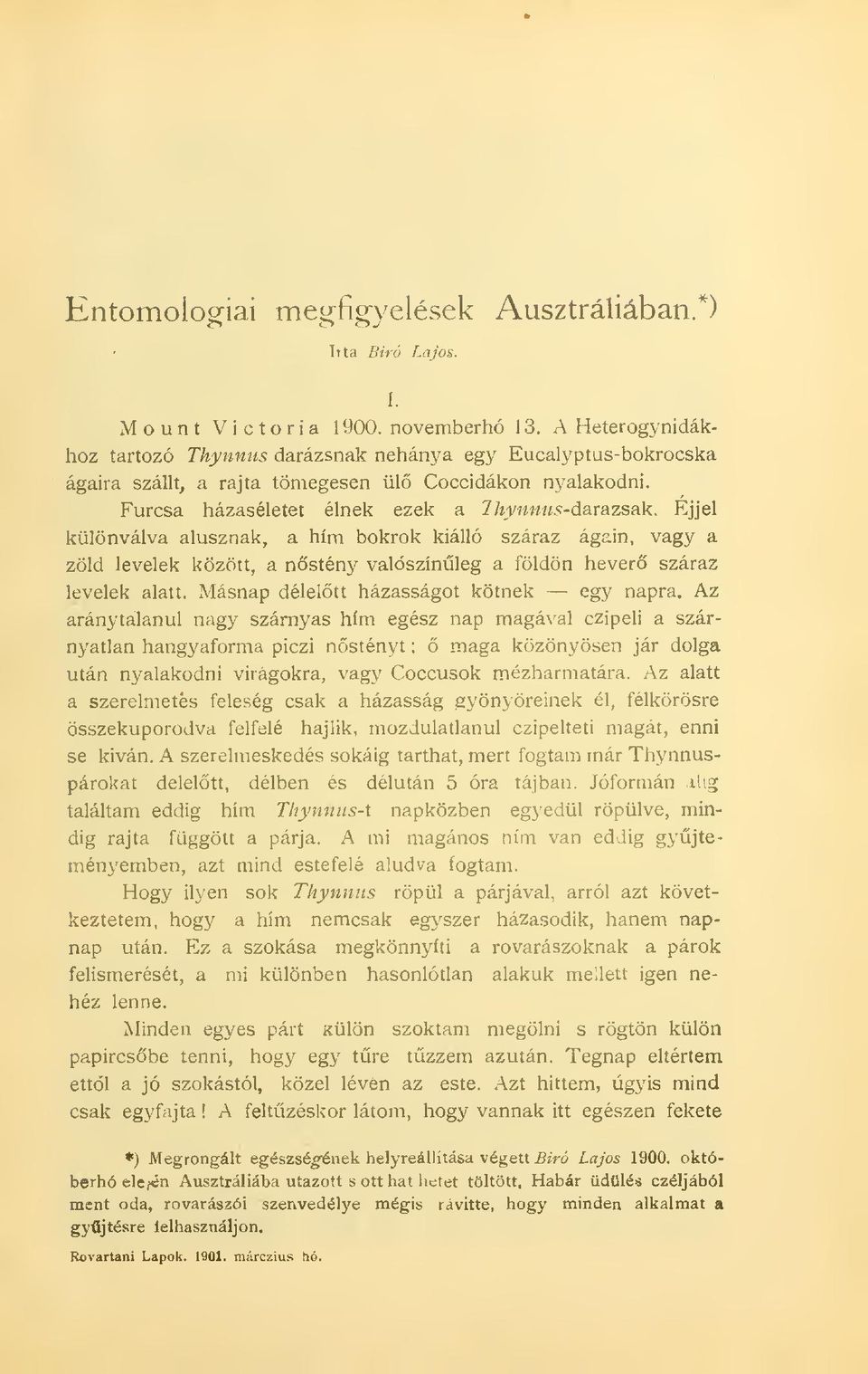 Éjjel különválva alusznak, a hím bokrok kiálló száraz ágain, vagy a zöld levelek között, a nstény valószínleg a földön hever száraz levelek alatt. Másnap déleltt házasságot kötnek egy napra.