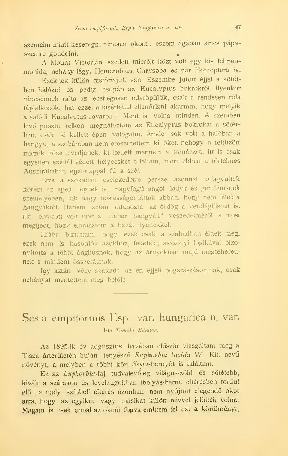 Eszembe jutott éjjel a sötétben hálózni és pedig csupán az Eucalyptus bokrokról.