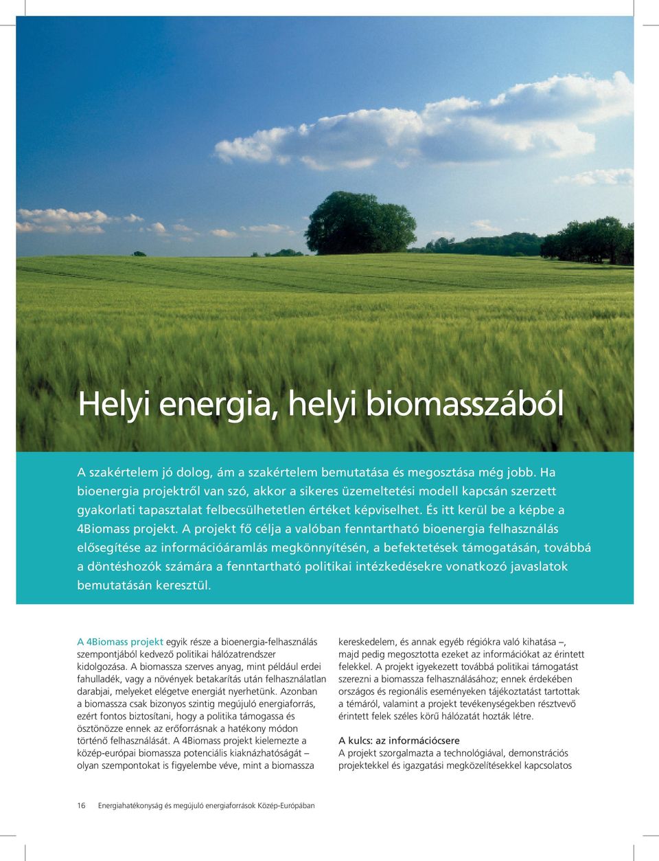 A projekt fő célja a valóban fenntartható bioenergia felhasználás elősegítése az információáramlás megkönnyítésén, a befektetések támogatásán, továbbá a döntéshozók számára a fenntartható politikai