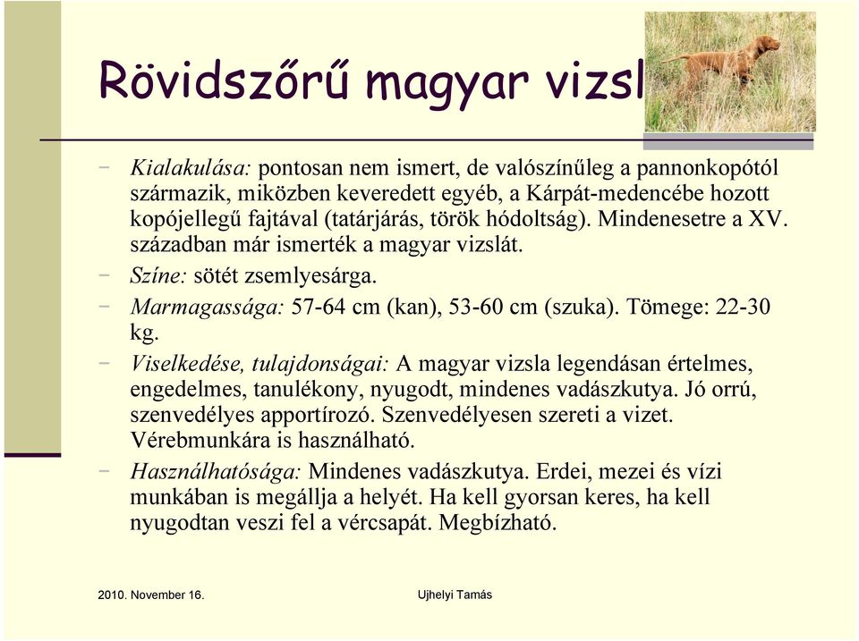 Viselkedése, tulajdonságai: A magyar vizsla legendásan értelmes, engedelmes, tanulékony, nyugodt, mindenes vadászkutya. Jó orrú, szenvedélyes apportírozó. Szenvedélyesen szereti a vizet.