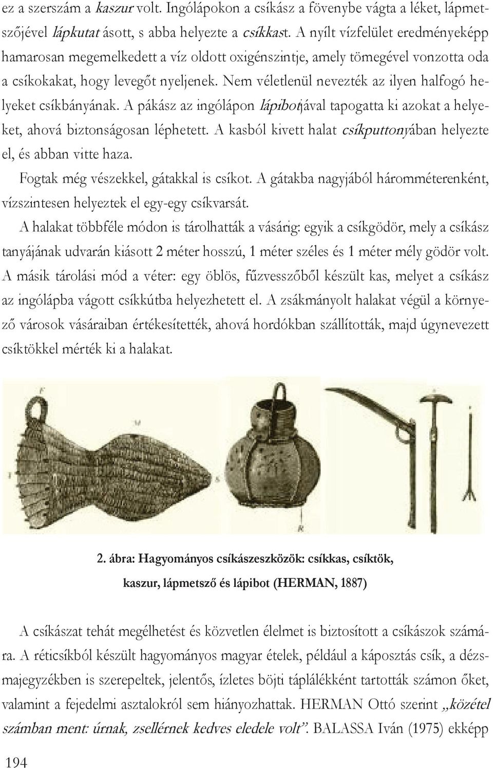 Nem véletlenül nevezték az ilyen halfogó helyeket csíkbányának. A pákász az ingólápon lápibotjával tapogatta ki azokat a helyeket, ahová biztonságosan léphetett.