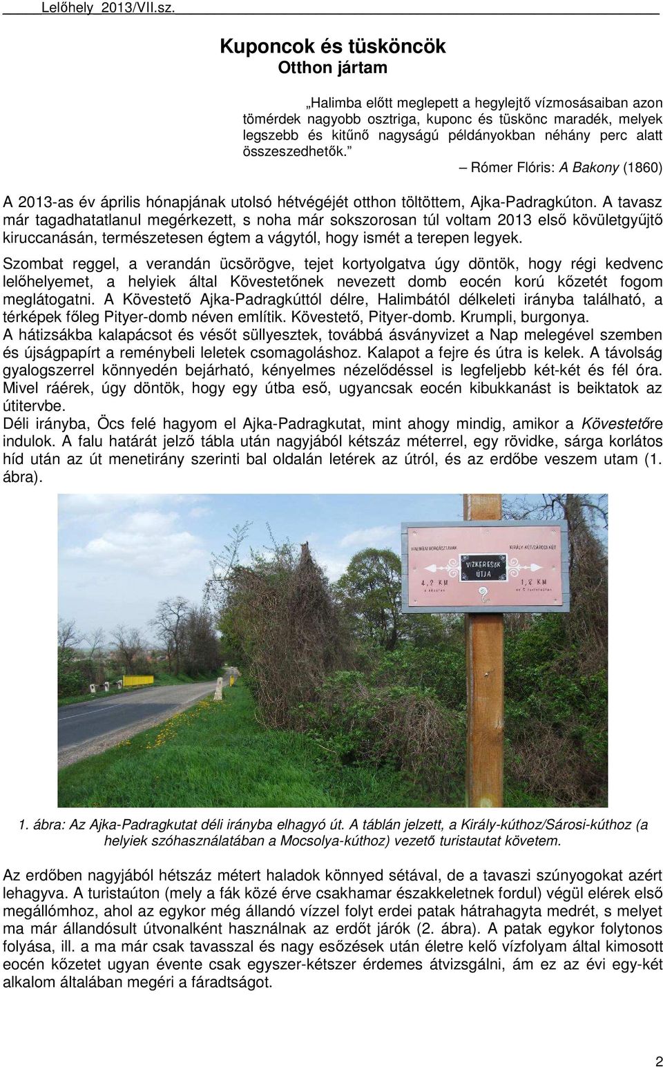 A tavasz már tagadhatatlanul megérkezett, s noha már sokszorosan túl voltam 2013 első kövületgyűjtő kiruccanásán, természetesen égtem a vágytól, hogy ismét a terepen legyek.