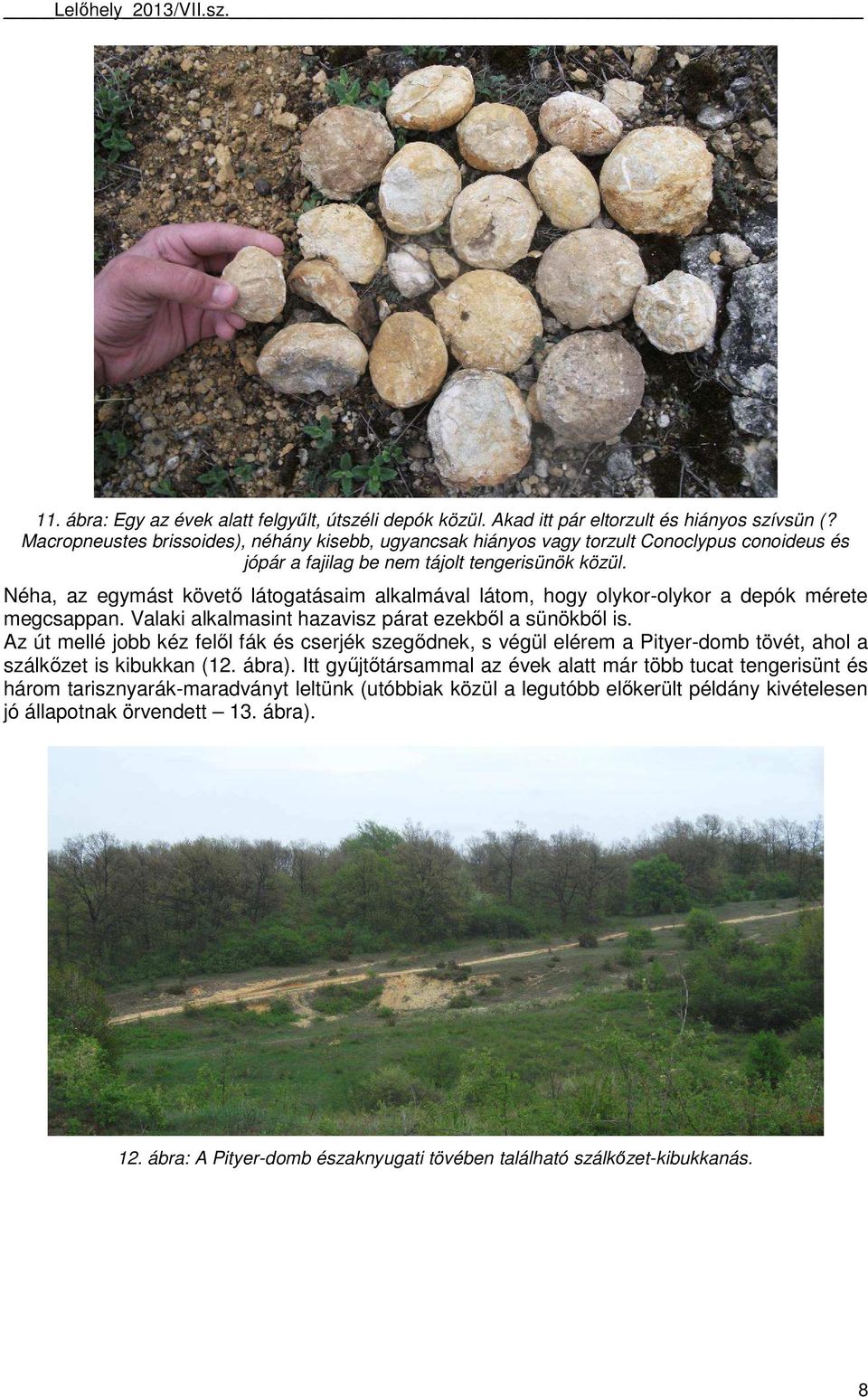 Néha, az egymást követő látogatásaim alkalmával látom, hogy olykor-olykor a depók mérete megcsappan. Valaki alkalmasint hazavisz párat ezekből a sünökből is.
