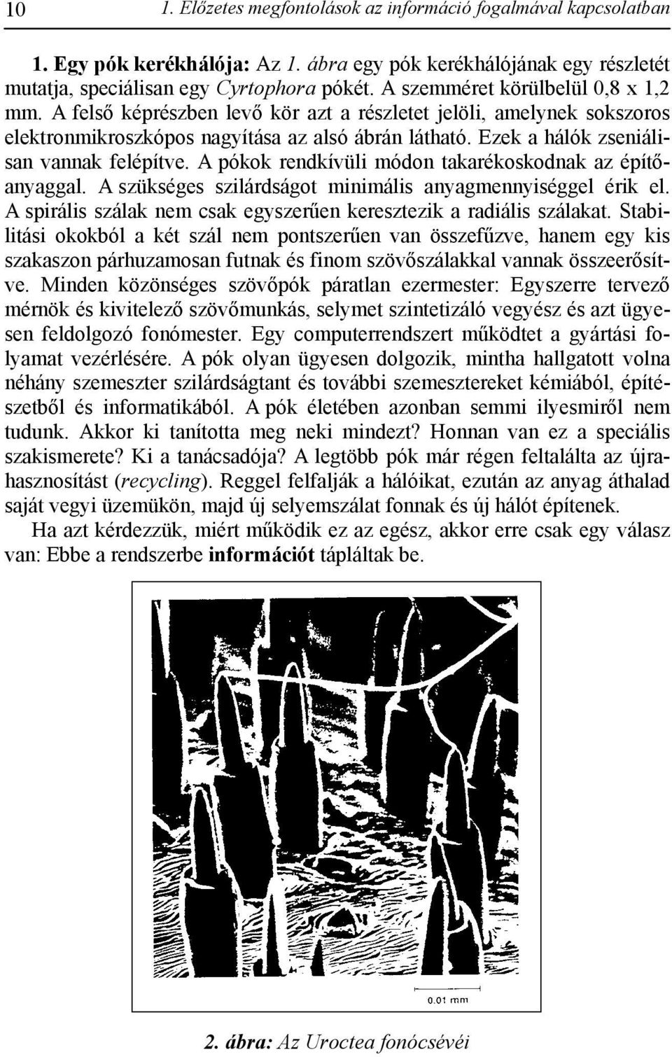 Ezek a hálók zseniálisan vannak felépítve. A pókok rendkívüli módon takarékoskodnak az építőanyaggal. A szükséges szilárdságot minimális anyagmennyiséggel érik el.