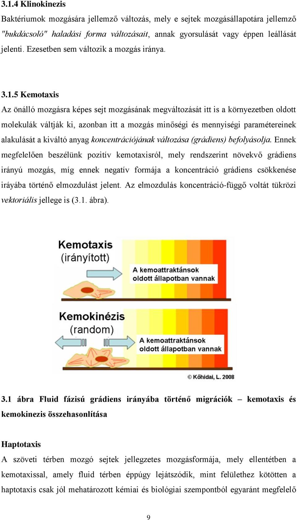 5 Kemotaxis Az önálló mozgásra képes sejt mozgásának megváltozását itt is a környezetben oldott molekulák váltják ki, azonban itt a mozgás minőségi és mennyiségi paramétereinek alakulását a kiváltó