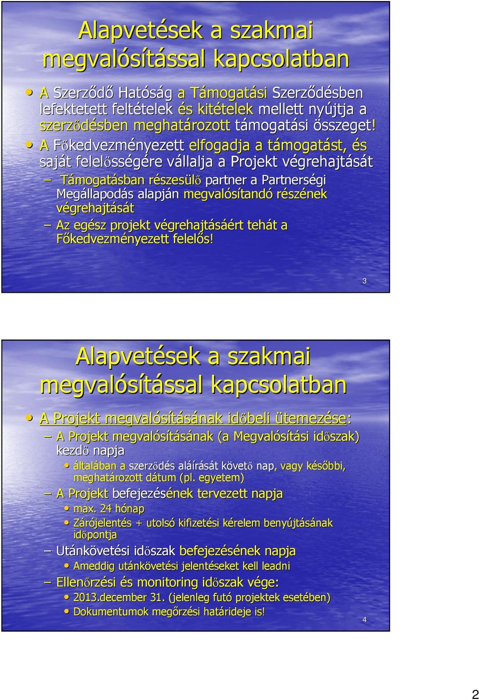 A Főkedvezményezett elfogadja a támogatt mogatást, és saját t felelőss sségére vállalja v a Projekt végrehajtását Támogatásban részesr szesülő partner a Partnerségi Megállapod llapodás s alapján