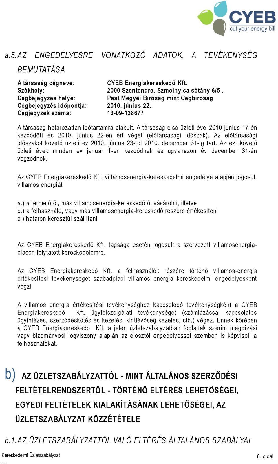 A társaság első üzleti éve 2010 június 17-én kezdődött és 2010. június 22-én ért véget (előtársasági időszak). Az előtársasági időszakot követő üzleti év 2010. június 23-tól 2010. december 31-ig tart.